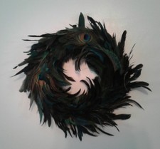 Large peacock feather for sale  Tracy