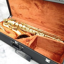 Yanagisawa 500 custodia usato  Spedire a Italy