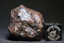 15334 chondrite meteorite for sale  Rumson