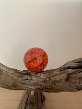 Holzdeko treibholz einer gebraucht kaufen  Löbau
