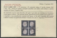 testudo marginata usato testudo marginata usato Montelupo Fiorentino