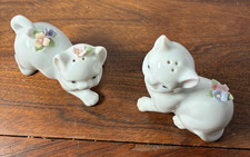 Adorable playful white for sale  Springfield