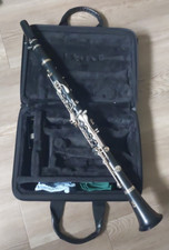 Yamaha ycl 255 gebraucht kaufen  Premnitz