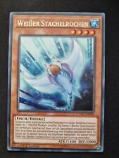 Weißer stachelrochen cyho gebraucht kaufen  Deutschland