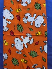Vintage 2002 peanuts for sale  Bend