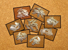 Engel flügel charms gebraucht kaufen  Arendsee