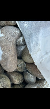 Large garden pebbles for sale  BENFLEET