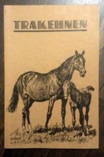 Führer durch trakehnen gebraucht kaufen  Duisburg