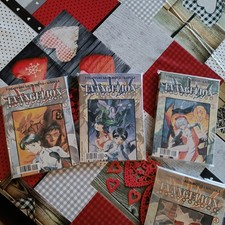 Evangelion collection serie usato  Salerno
