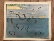Eileen soper vintage for sale  DEAL