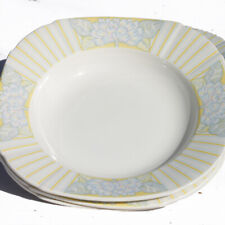 Lot assiettes creuses d'occasion  Cerisy-la-Salle