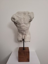 Torse buste homme d'occasion Torse buste homme d'occasion  Houdan