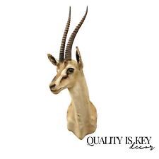 Vintage african antelope for sale  Philadelphia