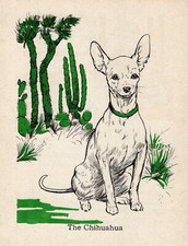 Sweet vintage chihuahua d'occasion  Expédié en Belgium