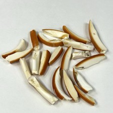 Lot assorted broken for sale  Waseca