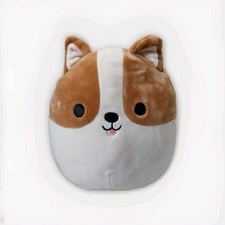 Reginald corgi dog for sale  LOUTH