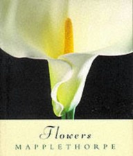 Flowers mapplethorpe robert for sale  AMMANFORD