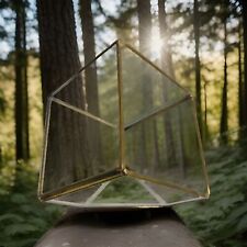 Vtg terrarium square for sale  Apopka