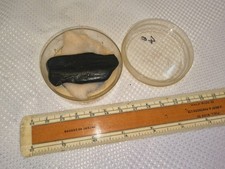 Rare imperial black for sale  WORTHING