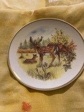 Two collectible plates for sale  BURY ST. EDMUNDS