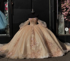 Usado, Vestido de baile personalizado Quinceanera dança doce 15 princesa glitter festa comprar usado  Enviando para Brazil