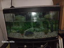 Tropical fish tank for sale  STAFFORD