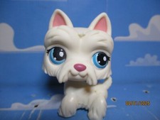 Petshop chien westie d'occasion  Bailleul