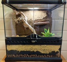 Exo terra mini for sale  BOLTON
