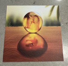 Jurrassic park amber for sale  BOGNOR REGIS