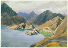cuillin for sale cuillin for sale BARNSLEY