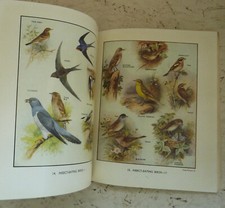 Vintage book 1960 for sale  SUTTON COLDFIELD
