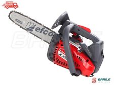 Motosega efco mtth usato  Ruvo di Puglia