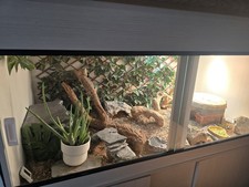 5ft white vivarium for sale  EASTLEIGH