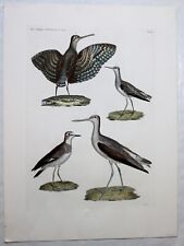 Gravur vögel riginal gebraucht kaufen  Karlsruhe