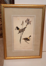 framed audubon prints for sale  Madison Heights