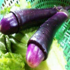 200 sementes de pênis roxo Peter Pepper pênis pimenta capsicum herança orgânica comprar usado  Enviando para Brazil