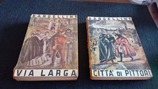 Libro via larga usato  Fonte Nuova