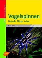 Vogelspinnen gebraucht kaufen  Berlin