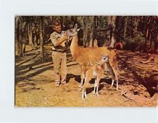 Postcard guanaco baby for sale  Almond