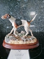 fox hound for sale fox hound for sale PONTEFRACT