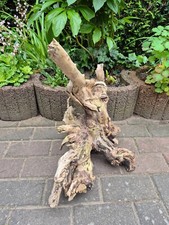 Skulptur wurzel stamm gebraucht kaufen  Werneuchen