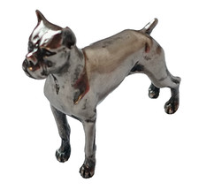 Boston terrier argento usato Boston terrier argento usato  Bologna