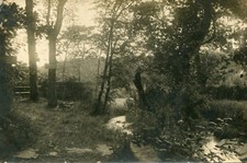 Carte photo identifier d'occasion  Genillé
