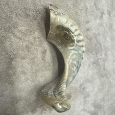 Shofarot israel kudu for sale  Browns Mills