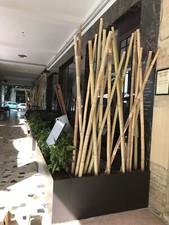 Giant bamboo rods d'occasion  Expédié en Belgium