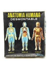 Serima anatomia humana usato  Italia