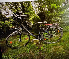 Damenfahrrad pegasus gebraucht gebraucht kaufen  Wiefelstede