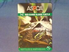 Red eared slider for sale  Saint Louis