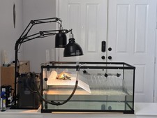 Gallon turtle tank for sale  Chino Hills