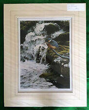 Steven townsend river for sale  NORWICH